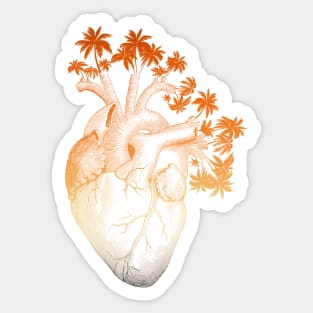 Orange Colored Anatomically Correct Human Heart - Palm Trees Sticker
